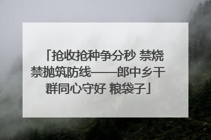 抢收抢种争分秒 禁烧禁抛筑防线——郎中乡干群同心守好 粮袋子